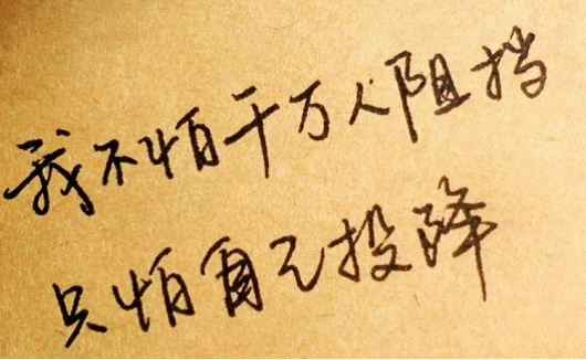 闪耀我的青春派|致高考