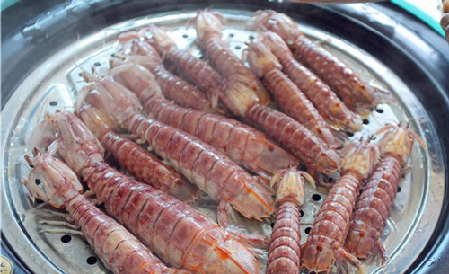 SOR携粉丝火爆出征厦视3套《我为吃狂》圆满成功