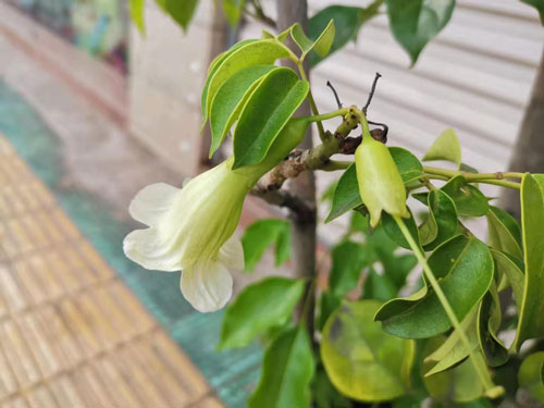 饮食护肤实用方法