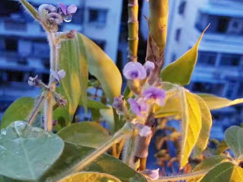了解长痘原因 才能高效祛痘