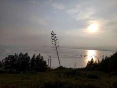 眼霜怎么用效果好