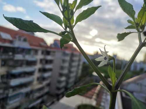 想要摆脱痘痘 这些妙招赶紧了解
