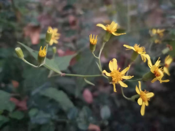 皮肤过敏?不要总让护肤品背锅